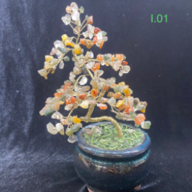 Bonsai Đẹp Mẫu I.01