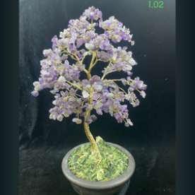 Bonsai Đẹp Mẫu I.02
