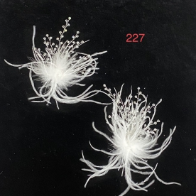 Hàng bộ - 227