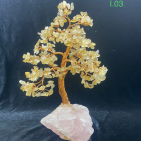 Bonsai Đẹp Mẫu I.03