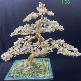 Bonsai Đẹp Mẫu I.08