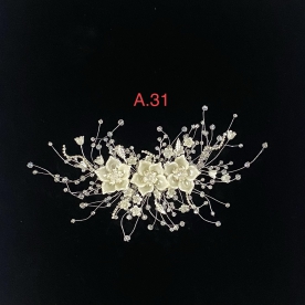 A31