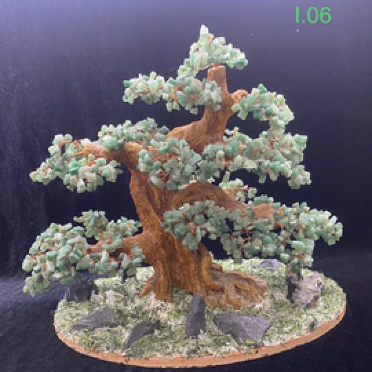 Bonsai Đẹp Mẫu I.06